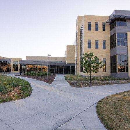 Large building with sandstone features, with a brick path, and diverse greenery of grasses, shrubs, and plants