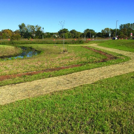 Strategically positioned grasses and trees along a creek's edge