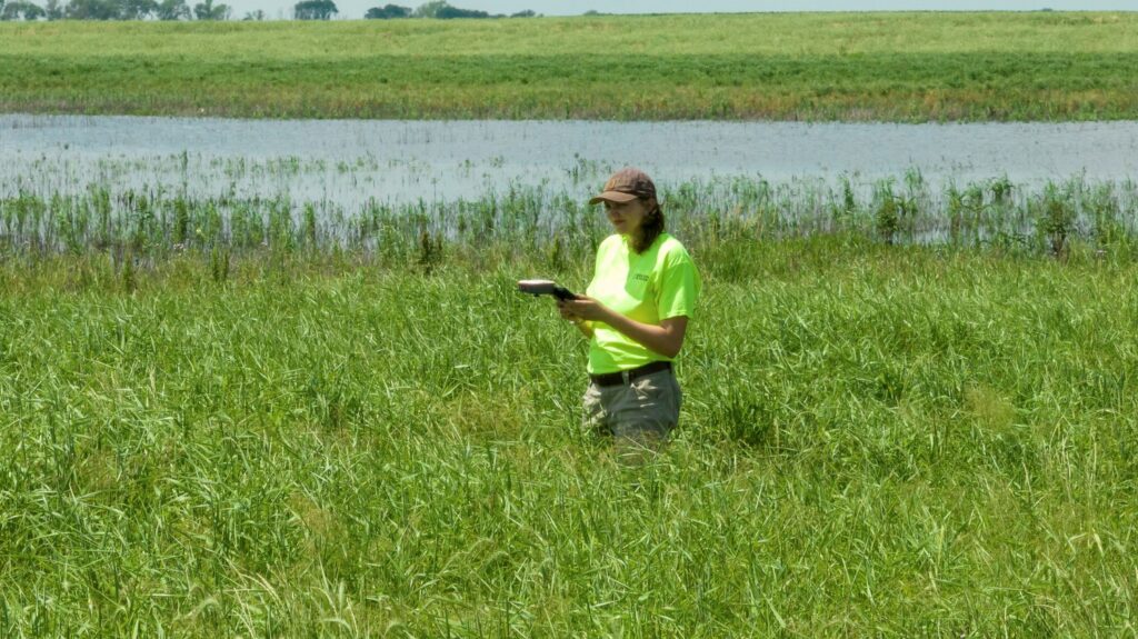 Woman in bright yellow shirt using a GPS Collector in a prairie
